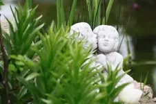 02.05 (4).webp