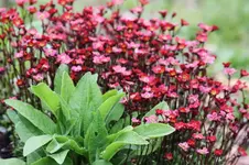 02.05 (8).webp
