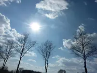 P1030429.webp