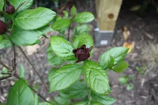IMG_1264.webp
