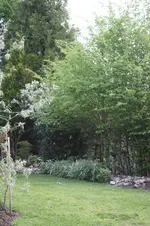 IMG_1303.webp