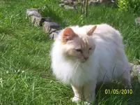 100_2427.webp