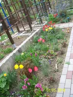 100_2432.webp