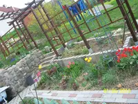 100_2434.webp