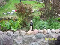 100_2439.webp