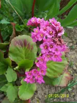 100_2435.webp