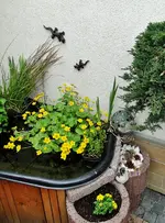 DSC05613.webp DSC05613.webp