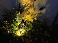 DSC05704.webp DSC05704.webp