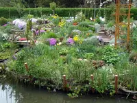 SDC10886.webp