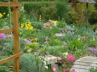 SDC10881.webp
