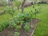 Garten Mai1 003.webp