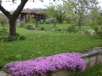 Garten Mai1 012.webp