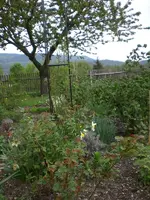 Garten Mai1 014.webp