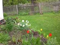 Garten Mai1 015.webp