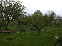 Garten Mai1 018.webp