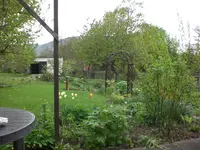 Garten Mai1 022.webp