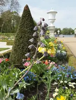 Glocke.webp