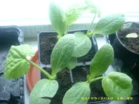 JD800010.webp