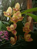 CIMG3164.webp