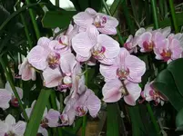 CIMG3167.webp
