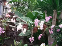 CIMG3169.webp