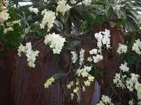 CIMG3176.webp