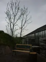 was bin ich 018.webp