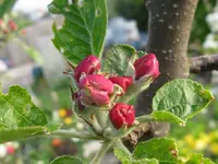 IMG_4468_1024x768.webp