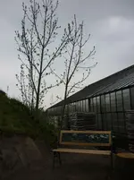 was bin ich 017.webp was bin ich 017.webp