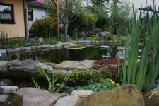 IMG_0013.webp