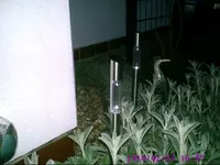 PIC00170.webp