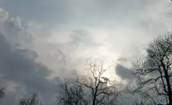 P1030435.webp