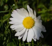 DSC_4941.webp