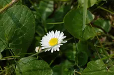 DSC_4950.webp