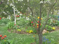 017.webp