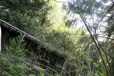 bildf 12.webp