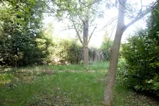 bildf 10.webp