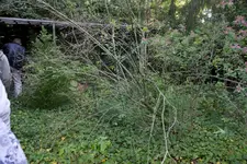 bildf 11.webp