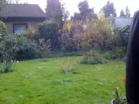 n1212607423_30171295_3501517.webp