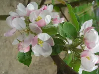 CIMG9356.webp