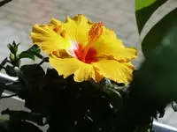 P1100838_600_450.webp