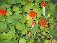 100_0126_800x600.webp