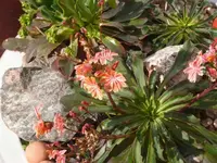 P1100878_600_450.webp
