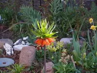 P1100884_600_450.webp