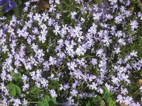 011.webp