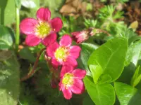 023.webp