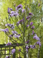 Fotos 003.webp
