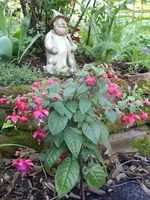 Fotos 007.webp