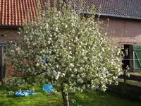 Fotos 012.webp