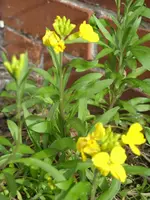 Fotos 016.webp